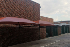 WhatsApp-Image-2022-03-26-at-9.46.11-AM1