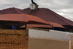 WhatsApp-Image-2022-03-26-at-9.46.12-AM1